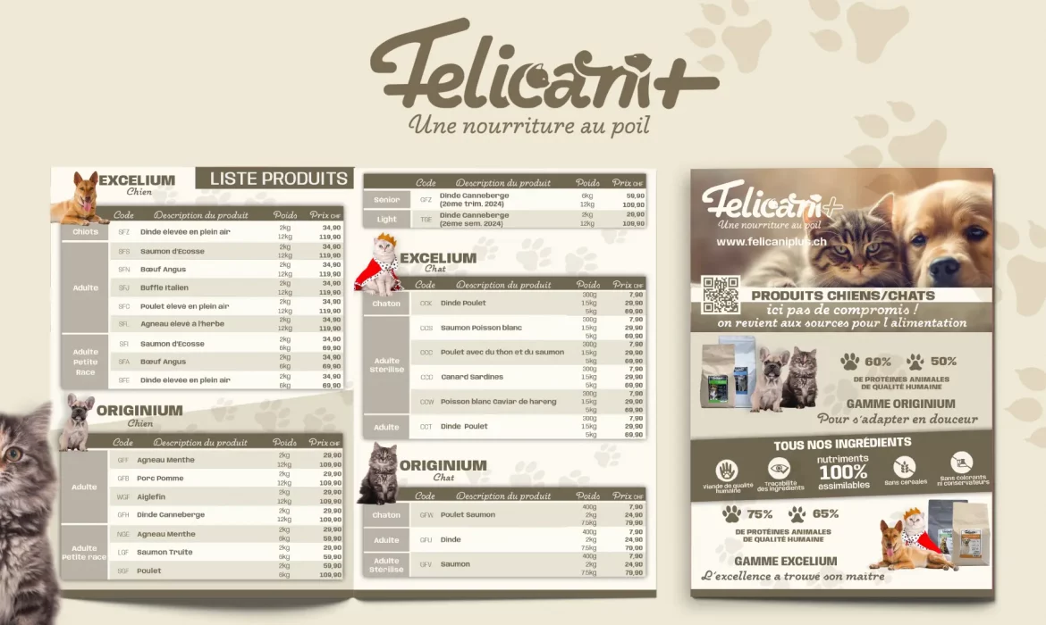 dÃ©pliant A5 felicani+ avec le logo et un chat sur le cotÃ©