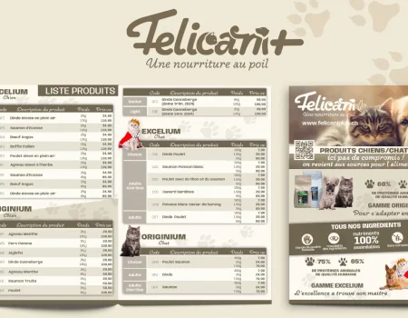 Dépliant Félicani+