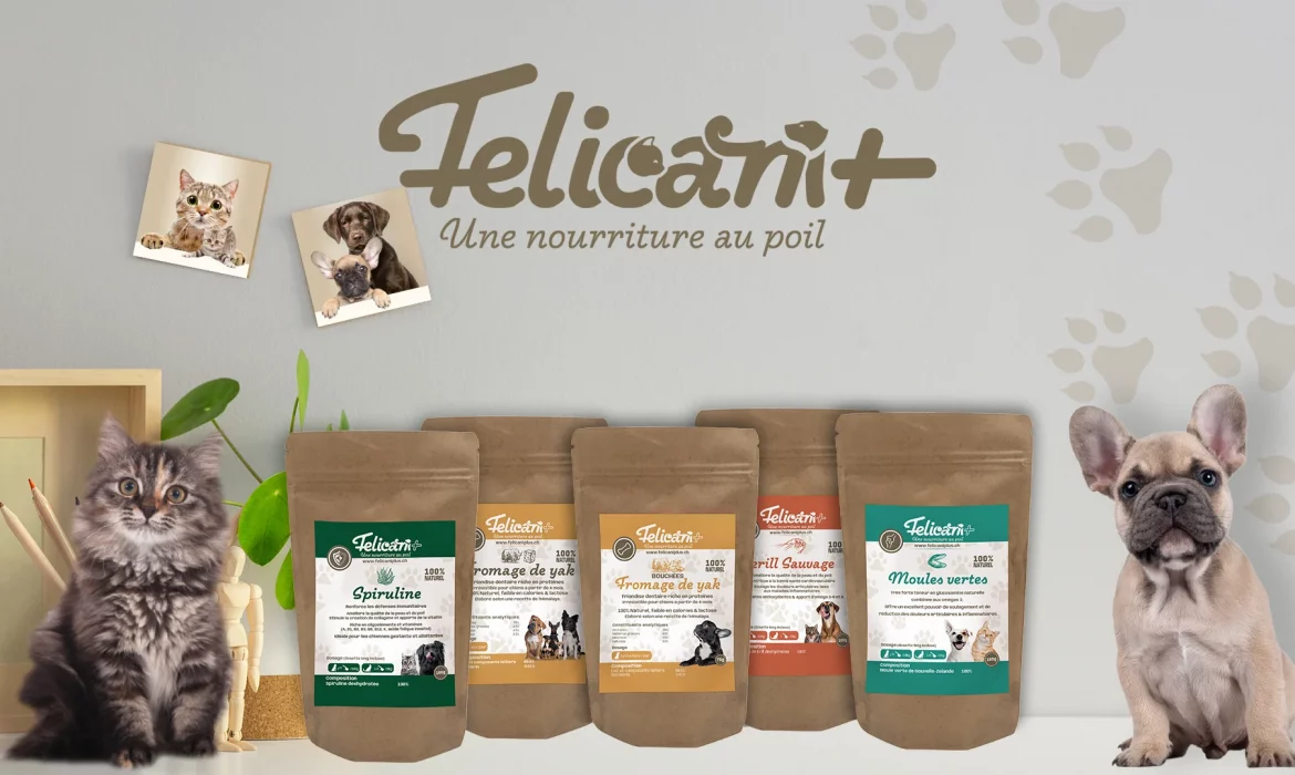 Une prÃ©sentation des produits alimentaires pour animaux avec un emballage dÃ©taillÃ© Ã©tiquetÃ© avec divers ingrÃ©dients et avantages. Un chat gris est assis Ã  gauche et un bouledogue franÃ§ais se tient Ã  droite. L'arriÃ¨re-plan comprend des empreintes de pattes et un logo amÃ©liorant la communication de la marque.