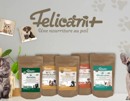 Etiquettes compléments Alimentaires Félicani+